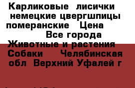 Карликовые “лисички“  немецкие цвергшпицы/померанские › Цена ­ 35 000 - Все города Животные и растения » Собаки   . Челябинская обл.,Верхний Уфалей г.